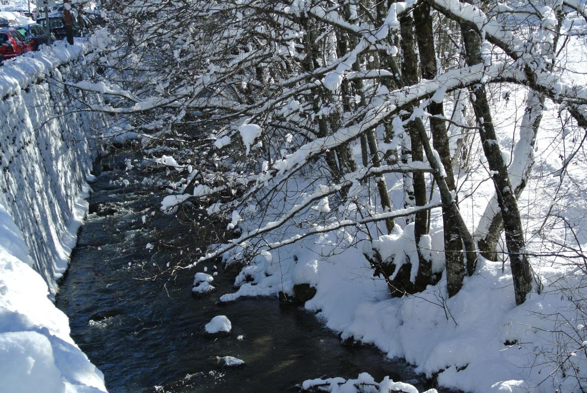 Hotel Et Spa Le Vermont เลอกรองด์บอร์นอง ภายนอก รูปภาพ