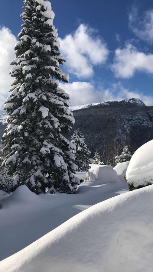 Hotel Et Spa Le Vermont เลอกรองด์บอร์นอง ภายนอก รูปภาพ